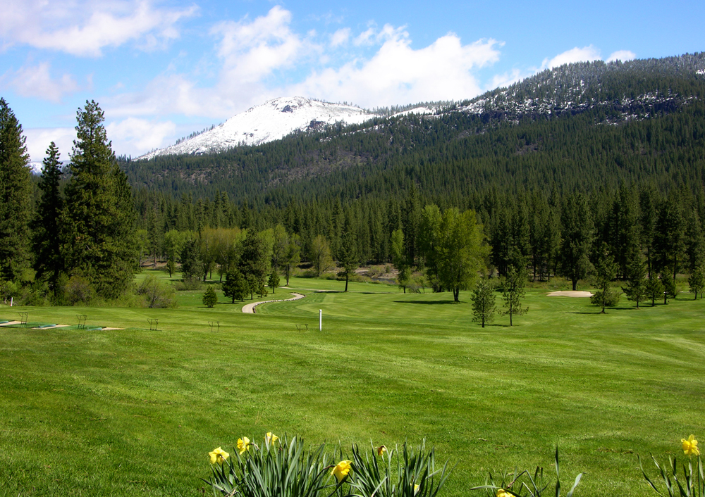 golf course green with mountain in distance