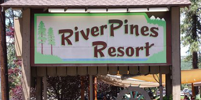 river pines