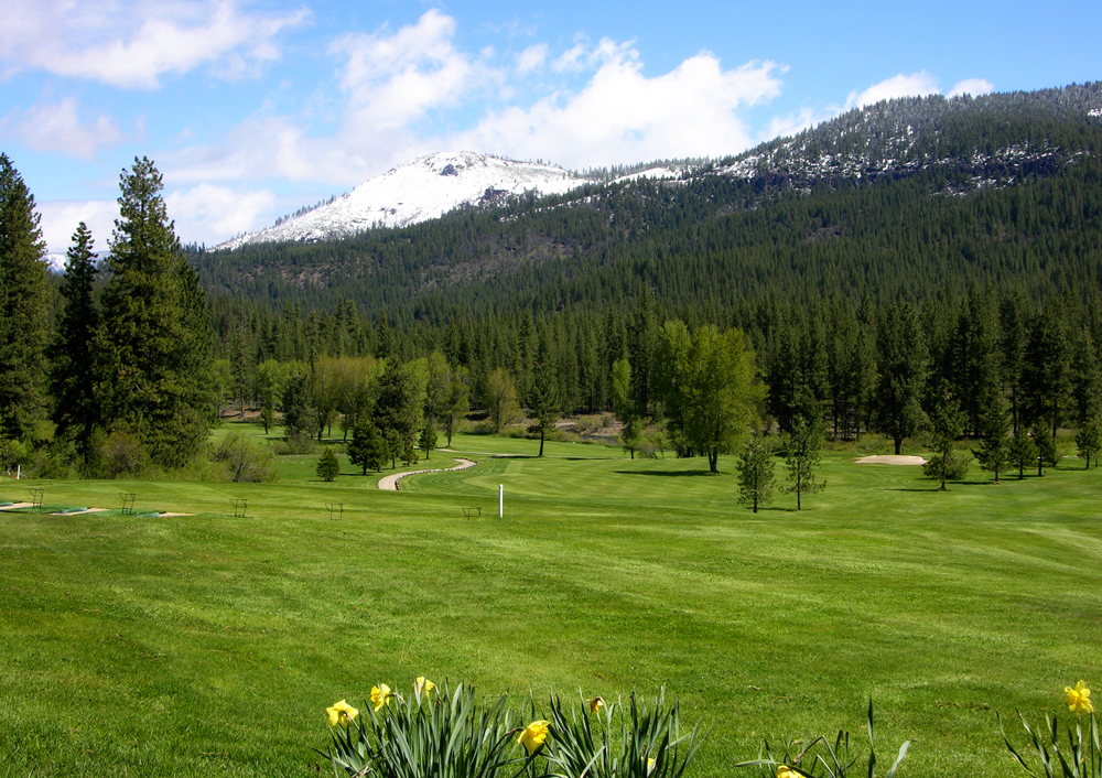 flowers by golf course